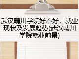 武汉晴川学院好不好，就业现状及发展趋势(武汉晴川学院就业前景)