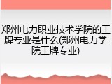 郑州电力职业技术学院的王牌专业是什么(郑州电力学院王牌专业)