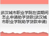武汉城市职业学院在读期间怎么申请助学贷款(武汉城市职业学院助学贷款申请)