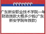 广东新安职业技术学院一年财政拨款大概多少钱(广东新安学院年拨款)
