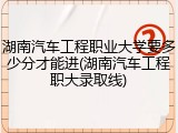 湖南汽车工程职业大学要多少分才能进(湖南汽车工程职大录取线)