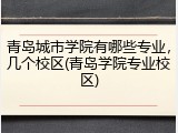 青岛城市学院有哪些专业，几个校区(青岛学院专业校区)