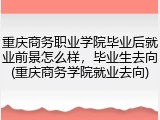 重庆商务职业学院毕业后就业前景怎么样，毕业生去向(重庆商务学院就业去向)