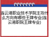 连云港职业技术学院主攻什么方向有哪些王牌专业(连云港职院王牌专业)