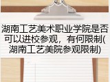 湖南工艺美术职业学院是否可以进校参观，有何限制(湖南工艺美院参观限制)