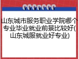 山东城市服务职业学院哪个专业毕业就业前景比较好(山东城服就业好专业)