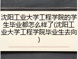 沈阳工业大学工程学院的学生毕业都怎么样了(沈阳工业大学工程学院毕业生去向)