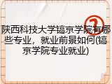 陕西科技大学镐京学院有哪些专业，就业前景如何(镐京学院专业就业)