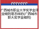 广西城市职业大学奖学金评定细则是怎样的(广西城市职大奖学金细则)