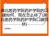 湖北医药学院药护学院的口碑如何，现在怎么样了(湖北医药学院药护学院口碑现状)