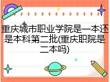 重庆城市职业学院是一本还是本科第二批(重庆职院是二本吗)