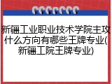 新疆工业职业技术学院主攻什么方向有哪些王牌专业(新疆工院王牌专业)