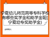 宁夏幼儿师范高等专科学校有哪些奖学金和助学金呢(宁夏幼专奖助学金)