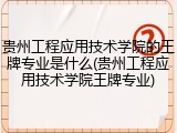 贵州工程应用技术学院的王牌专业是什么(贵州工程应用技术学院王牌专业)
