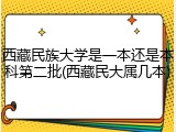 西藏民族大学是一本还是本科第二批(西藏民大属几本)