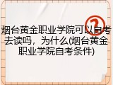 烟台黄金职业学院可以自考去读吗，为什么(烟台黄金职业学院自考条件)