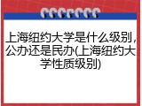 上海纽约大学是什么级别，公办还是民办(上海纽约大学性质级别)