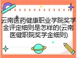 云南医药健康职业学院奖学金评定细则是怎样的(云南医健职院奖学金细则)