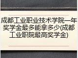 成都工业职业技术学院一年奖学金最多能拿多少(成都工业职院最高奖学金)