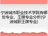 宁波城市职业技术学院有哪些专业，王牌专业分析(宁波城职王牌专业)