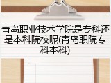 青岛职业技术学院是专科还是本科院校呢(青岛职院专科本科)