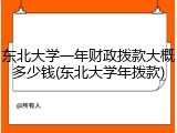 东北大学一年财政拨款大概多少钱(东北大学年拨款)