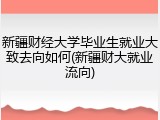 新疆财经大学毕业生就业大致去向如何(新疆财大就业流向)