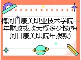 梅河口康美职业技术学院一年财政拨款大概多少钱(梅河口康美职院年拨款)