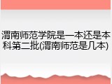 渭南师范学院是一本还是本科第二批(渭南师范是几本)