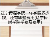辽宁传媒学院一年学费多少钱，还有哪些费用(辽宁传媒学院学费及费用)
