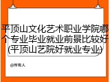 平顶山文化艺术职业学院哪个专业毕业就业前景比较好(平顶山艺院好就业专业)