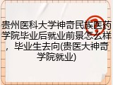 贵州医科大学神奇民族医药学院毕业后就业前景怎么样，毕业生去向(贵医大神奇学院就业)