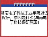 湖南电子科技职业学院能否保研，原因是什么(湖南电子科技保研原因)