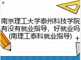 南京理工大学泰州科技学院有没有就业指导，好就业吗(南理工泰科就业指导)