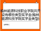 榆林能源科技职业学院共开设有哪些类型奖学金(榆林能源科技学院奖学金类型)