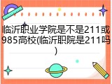 临沂职业学院是不是211或985高校(临沂职院是211吗)