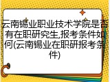 云南锡业职业技术学院是否有在职研究生,报考条件如何(云南锡业在职研报考条件)