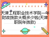天津工程职业技术学院一年财政拨款大概多少钱(天津职院年拨款)