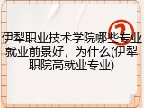 伊犁职业技术学院哪些专业就业前景好，为什么(伊犁职院高就业专业)
