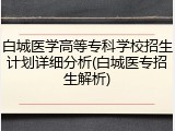 白城医学高等专科学校招生计划详细分析(白城医专招生解析)