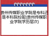 贵州传媒职业学院是专科还是本科院校呢(贵州传媒职业学院学历层次)