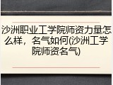沙洲职业工学院师资力量怎么样，名气如何(沙洲工学院师资名气)