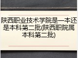 陕西职业技术学院是一本还是本科第二批(陕西职院属本科第二批)