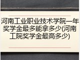 河南工业职业技术学院一年奖学金最多能拿多少(河南工院奖学金最高多少)