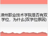 漳州职业技术学院是否有双学位，为什么(双学位原因)