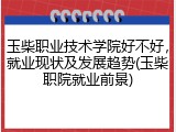 玉柴职业技术学院好不好，就业现状及发展趋势(玉柴职院就业前景)