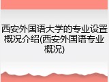 西安外国语大学的专业设置概况介绍(西安外国语专业概况)