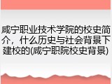 咸宁职业技术学院的校史简介，什么历史与社会背景下建校的(咸宁职院校史背景)