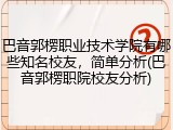 巴音郭楞职业技术学院有哪些知名校友，简单分析(巴音郭楞职院校友分析)