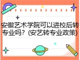 安徽艺术学院可以进校后转专业吗？(安艺转专业政策)